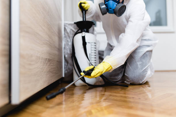  Chester, CA Pest Control Pros