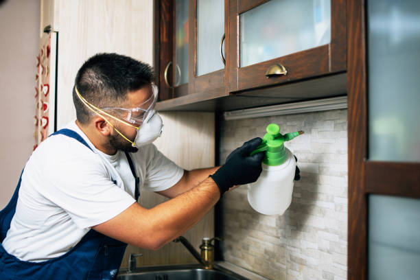 Best Wildlife Control Services  in Chester, CA