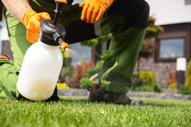 Pest Control for Restaurants in Chester, CA