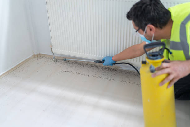 Best Ant Control Services  in Chester, CA